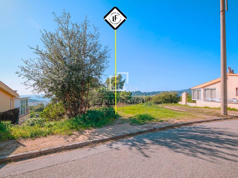 Foto 3b076aa3-f4f1-4c56-9005-983a26600bd8. Finca rústica parcela en excelentes condiciones en venta , costa brava en Lloret de Mar