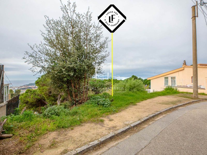 Foto 4f38ba91-ff75-448f-947d-e8d278d6e4f9. Finca rústica parcela en excelentes condiciones en venta , costa brava en Lloret de Mar