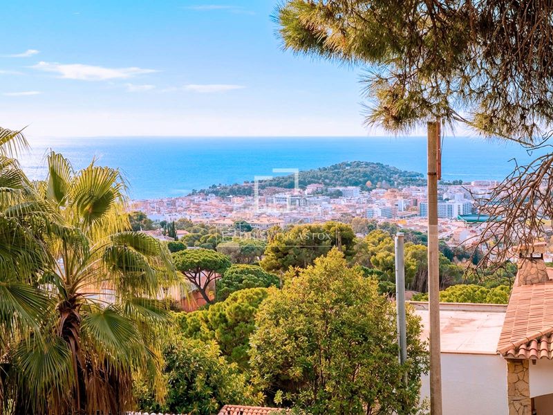 Foto 85fc1757-7fd1-46a1-8c39-19355137911e. Finca rústica parcela en excelentes condiciones en venta , costa brava en Lloret de Mar