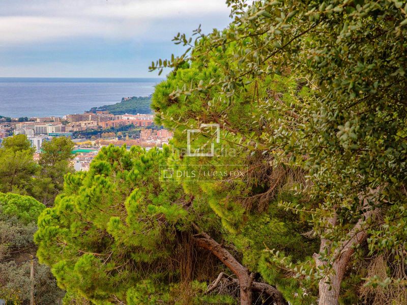 Foto a58a9632-2df5-404b-aede-b9499355a4c3. Finca rústica parcela en excelentes condiciones en venta , costa brava en Lloret de Mar