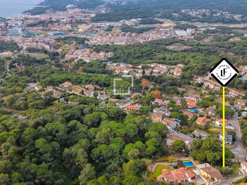 Foto ddbc1018-2c12-46da-9505-05b69fb30974. Finca rústica parcela en excelentes condiciones en venta , costa brava en Lloret de Mar