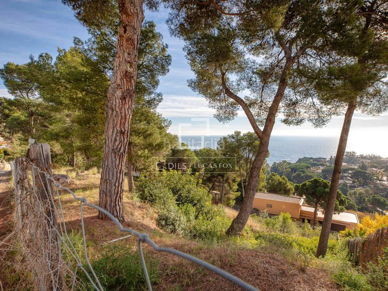 Foto d7e67b60-f137-4847-83fd-261b9ac4040b. Finca rústica a Santa Cristina-Sant Francesc Blanes