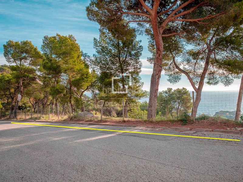 Foto e4f97627-75a0-476b-9a6c-e37296b5047d. Finca rústica a Santa Cristina-Sant Francesc Blanes