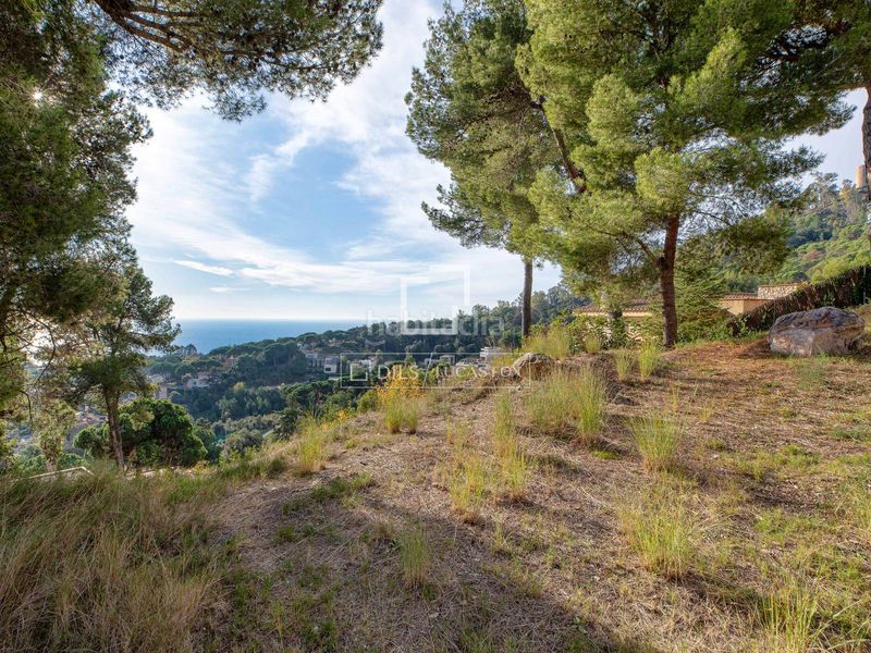 Foto e54efd82-0e58-44aa-9d97-2a572b8889b0. Finca rústica a Santa Cristina-Sant Francesc Blanes
