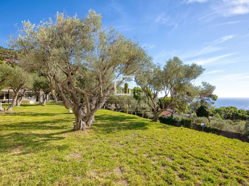 Foto 0462da80-6d01-4063-bb03-8a3249d75ff5. Xalet amb calefacció aparcament a Fornells-Aiguablava Begur