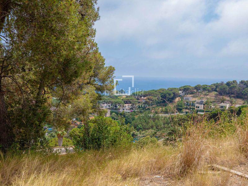 Foto 4b4ca6f1-7cb2-4ed6-b768-1fda45249b62. Finca rústica a Santa Cristina-Sant Francesc Blanes