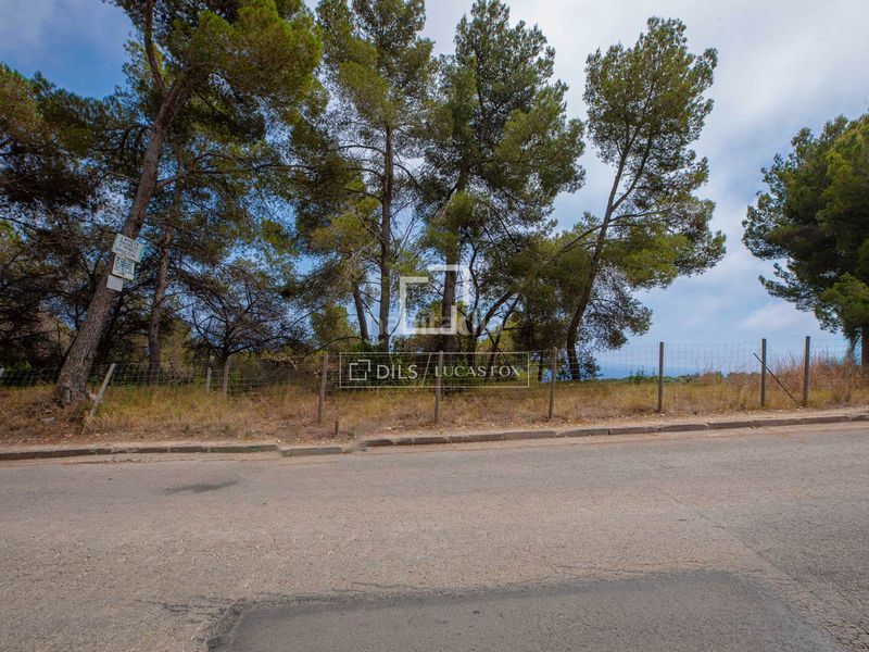 Foto 70816298-17d6-4437-a42d-0f23239c90f6. Finca rústica a Santa Cristina-Sant Francesc Blanes