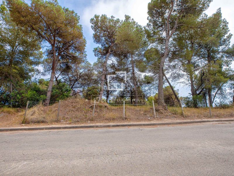 Foto d8c7c4f8-bd67-4d06-b44e-ca9bcc89d237. Finca rústica a Santa Cristina-Sant Francesc Blanes