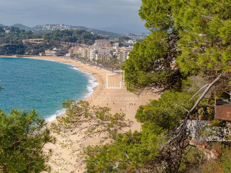 Foto 5b3b568a-0faf-4450-bf42-16e97b5a4a19. Xalet amb aparcament piscina a Montgoda Lloret de Mar