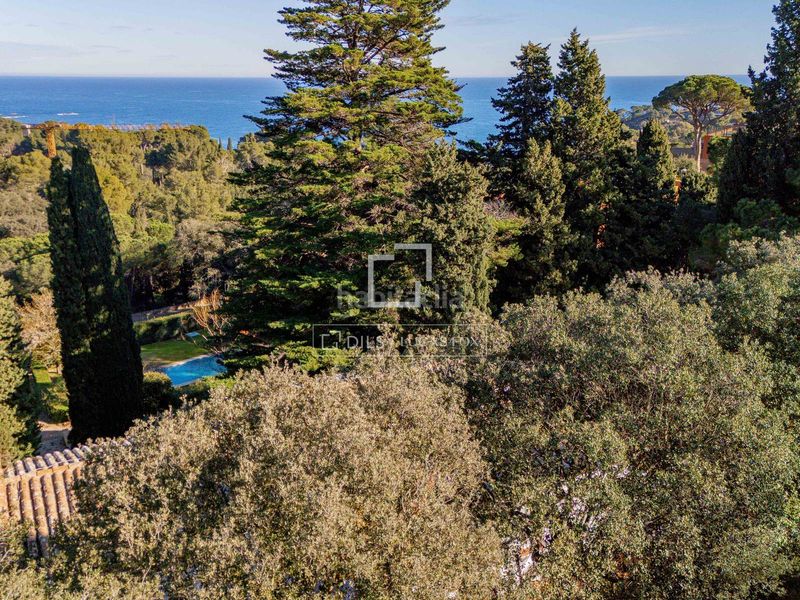 Foto 7fa06939-a89d-4279-beaf-458a31df3f99. Finca rústica a Fornells-Aiguablava Begur