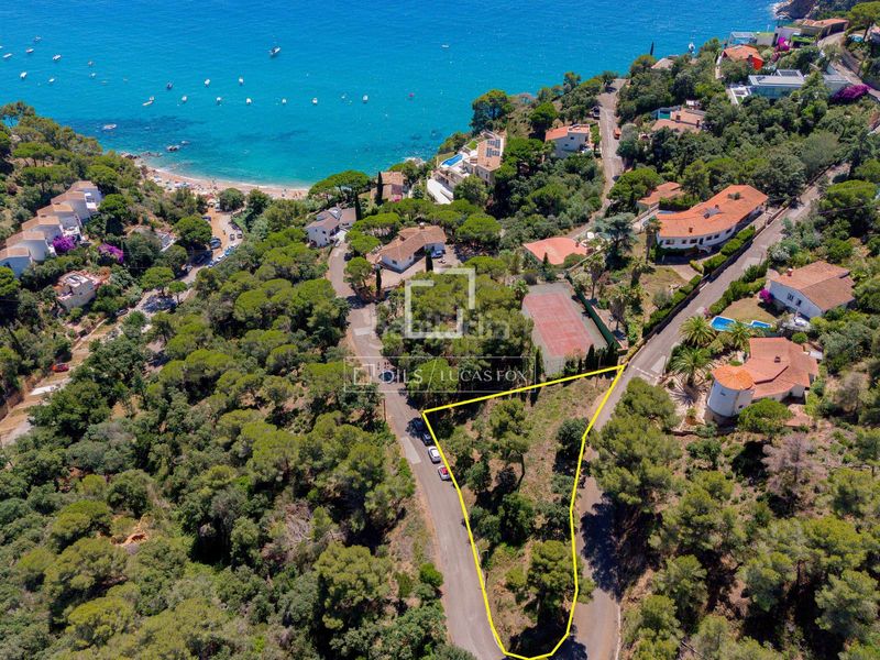 Foto 060324c2-371c-4219-ab71-2ea47d50b646. Finca rústica a Santa Maria de Llorell Tossa de Mar
