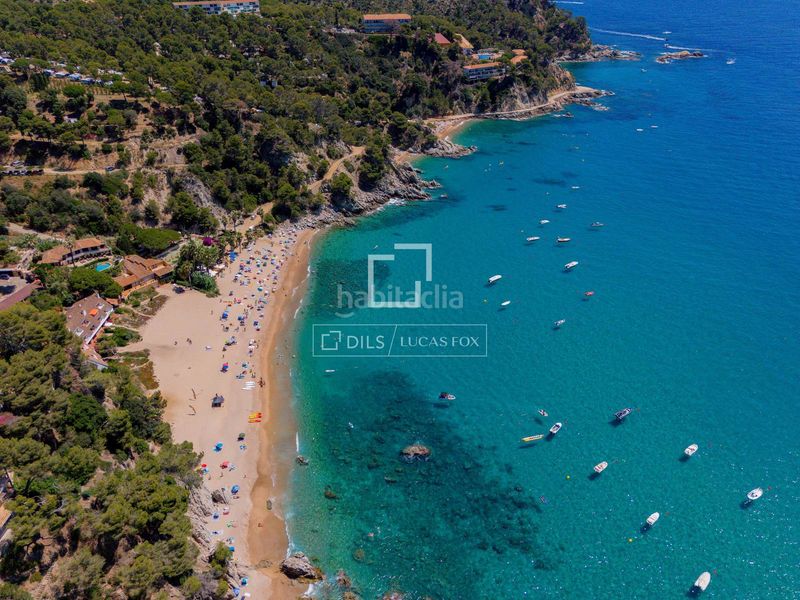 Foto 4ac0bf7c-9d2b-4a5d-b91f-a07c9d39de7a. Finca rústica a Santa Maria de Llorell Tossa de Mar