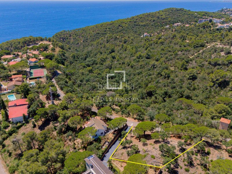 Foto d3e56622-f708-412d-b627-61e1e2b5b683. Finca rústica a Santa Maria de Llorell Tossa de Mar