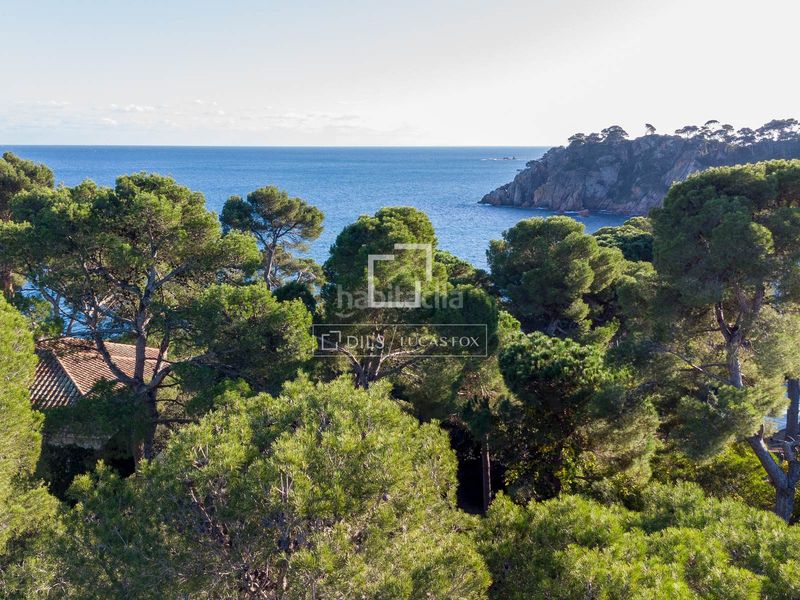 Foto 1049ce23-2267-4fe7-bec5-d2fb61e9e887. Finca rústica a Calella de Palafrugell