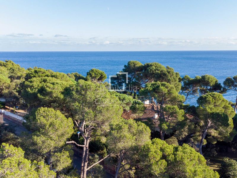 Foto 84a48a50-db98-4d40-b04a-e2b8ab5d4c9c. Finca rústica a Calella de Palafrugell