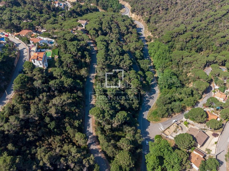 Foto 487bfac8-c0bb-4aa6-b6cc-e4c95cf9d854. Finca rústica a Serra Brava Lloret de Mar