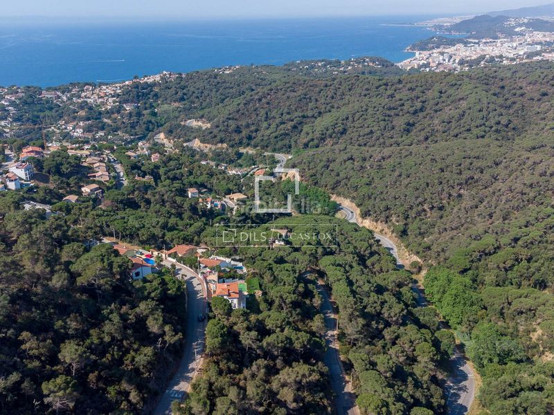 Foto b4b9d696-c566-487b-be31-b499a71fb477. Finca rústica a Serra Brava Lloret de Mar