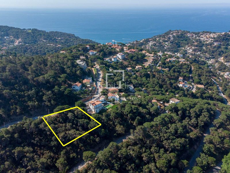 Foto bd2e4e53-c26b-406f-a3c3-011c20bf28be. Finca rústica a Serra Brava Lloret de Mar