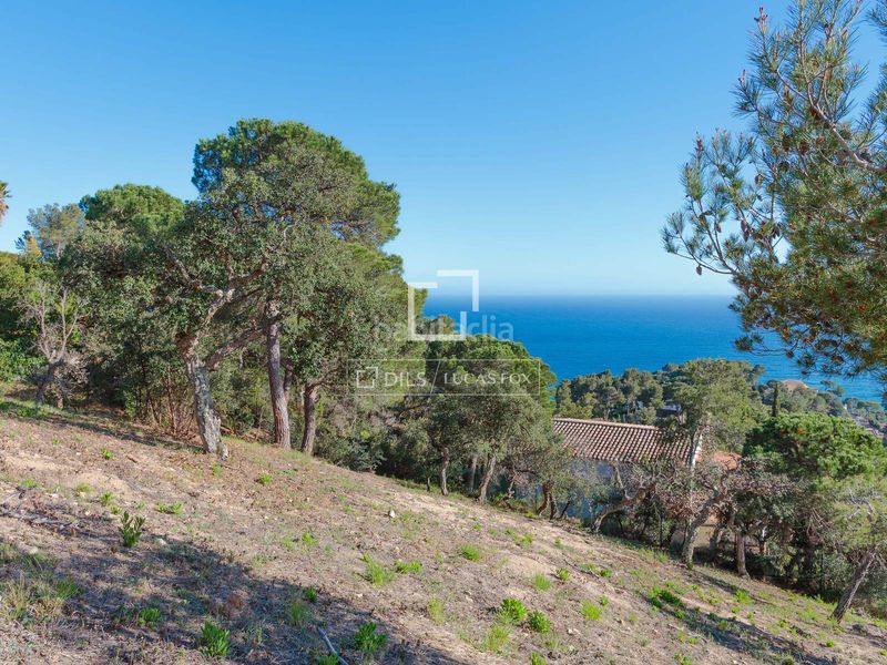 Foto 8fede73d-667b-4a38-8497-3e8000c63814. Finca rústica a Santa Maria de Llorell Tossa de Mar