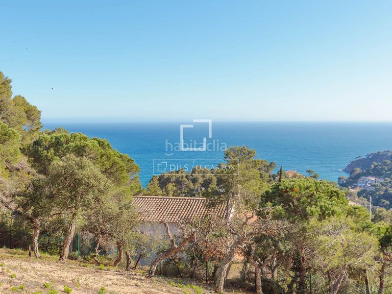 Foto 95d9453a-6fc1-4aa5-8c0c-a89101285332. Finca rústica a Santa Maria de Llorell Tossa de Mar