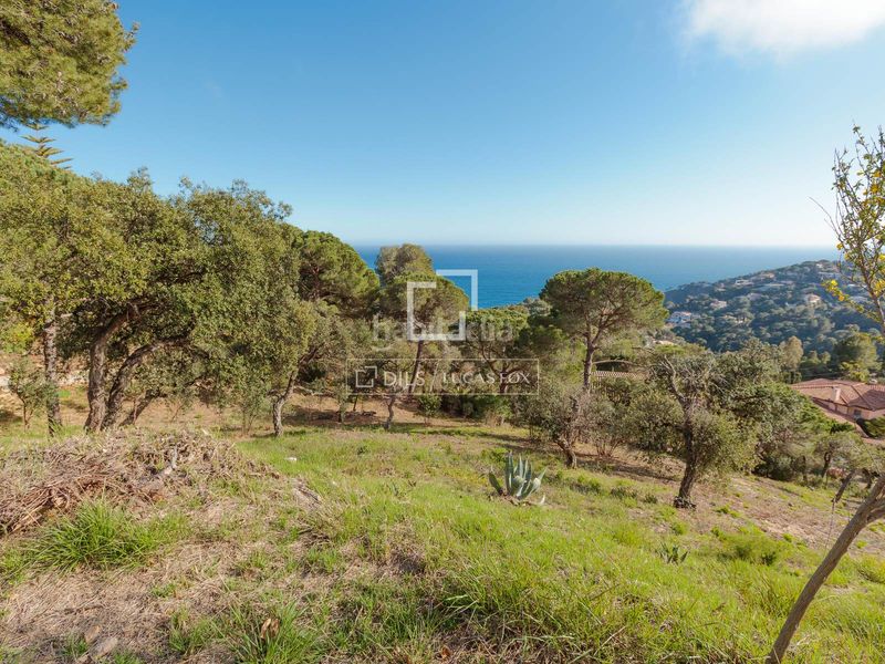 Foto bb1103fe-34aa-49f9-99af-e6e71134ca49. Finca rústica a Santa Maria de Llorell Tossa de Mar
