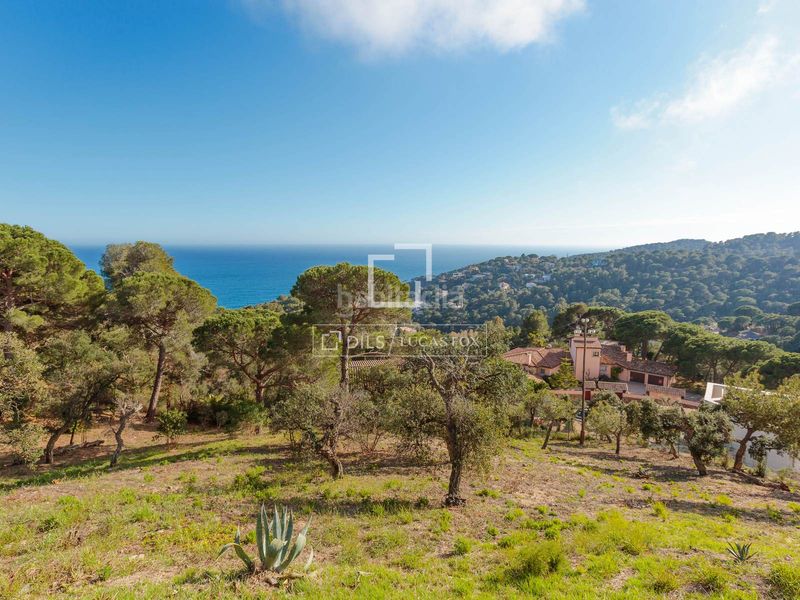 Foto d0715c52-7c31-43cf-8956-c9d649417269. Finca rústica a Santa Maria de Llorell Tossa de Mar