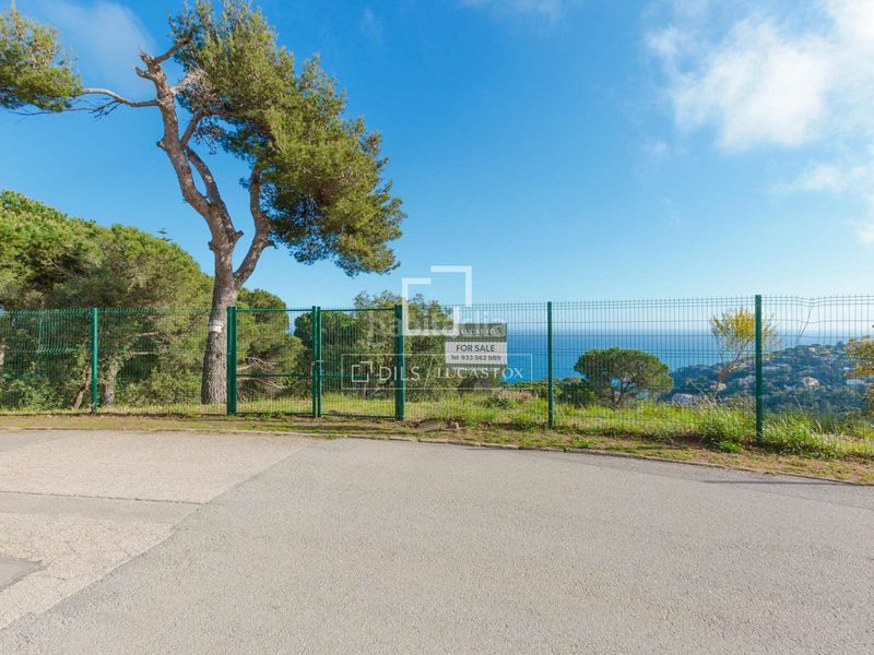 Foto d26d1cc2-9d6b-4a63-9705-4ad83a5311bd. Finca rústica a Santa Maria de Llorell Tossa de Mar
