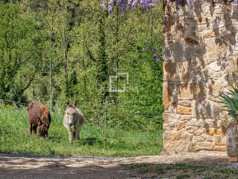 Foto df6dc2ba-6129-4297-8fc9-4522634f93ef. Masia amb calefacció aparcament piscina a Sant Martí Vell