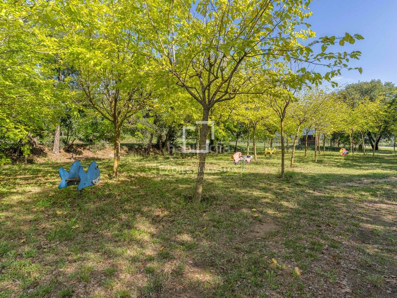 Foto 0a1cbe0d-6f4f-4f39-b5d5-3f435748edf1. Masia amb calefacció aparcament piscina a Breda