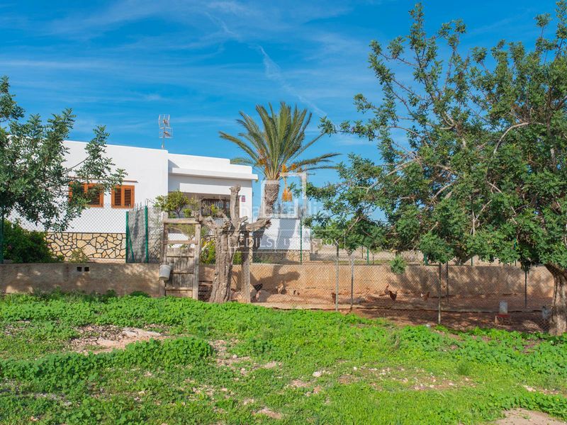 Foto d48db34d-c851-4727-ae3e-22777431c8f2. Chalet casa villa de 4 dormitorios en venta en ibiza ciudad, islas baleares en Sant Josep de sa Talaia