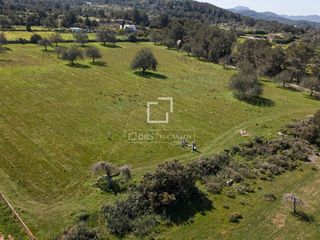 Fondo rustico in Sant Antoni de Portmany. Parcela en excelentes condiciones en venta en san antonio, islas