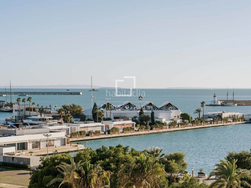Foto ff10c832-0b69-4f07-9a01-e3378b0d81ae. Pis a Marina Botafoc-Talamanca Ibiza