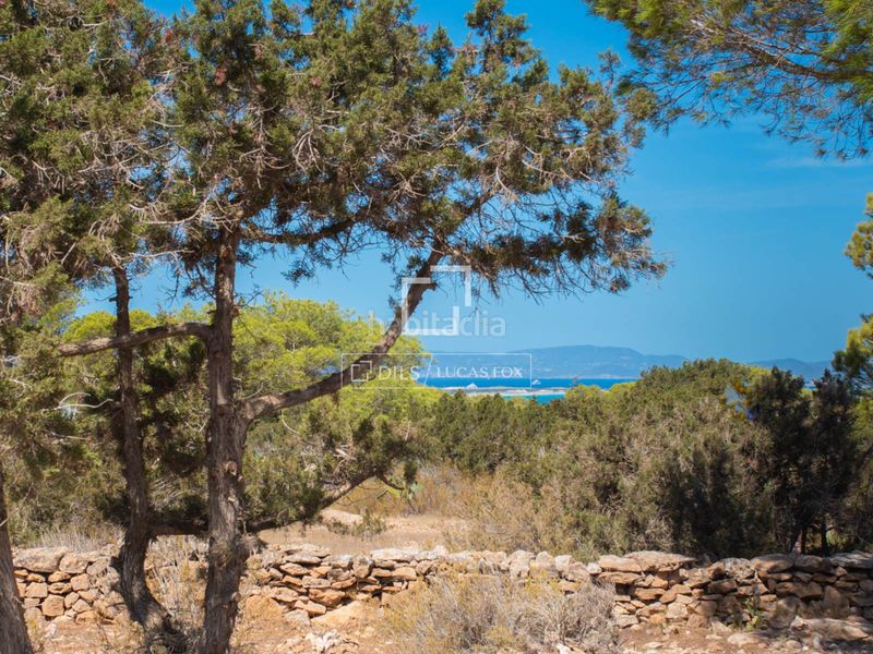 Foto e4fd7a3c-79c1-4249-a285-de7e284c130c. Xalet amb piscina a Formentera