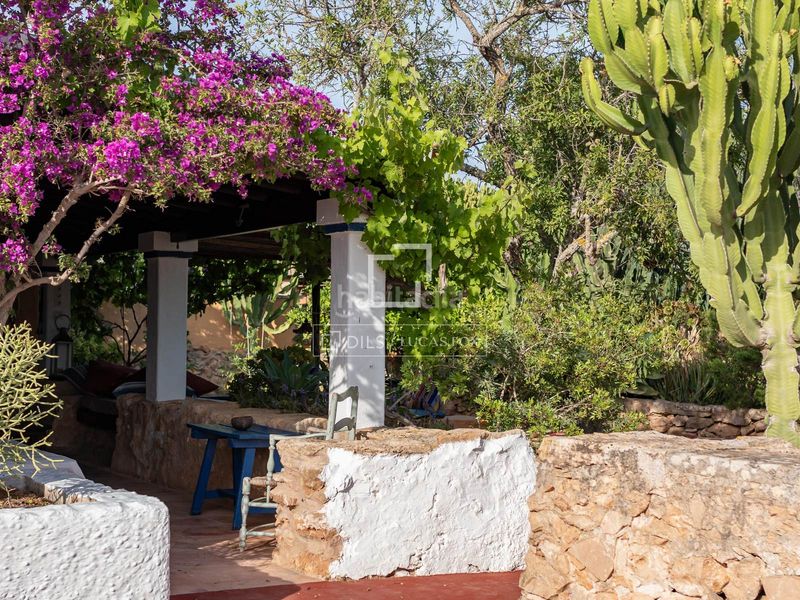 Foto 38726e45-d259-45e5-a781-d528a82c2987. Xalet a Formentera