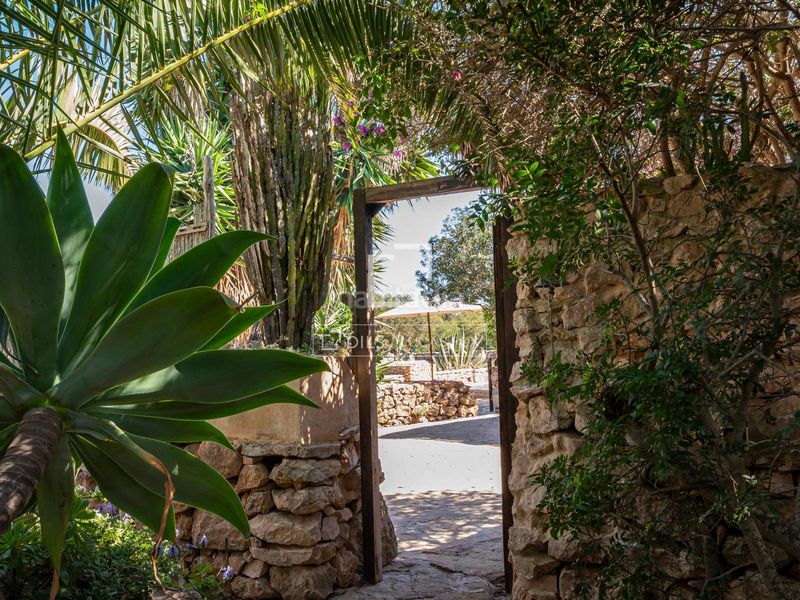 Foto c7b1dba2-b405-40ac-8b0c-191593b96b12. Xalet a Formentera