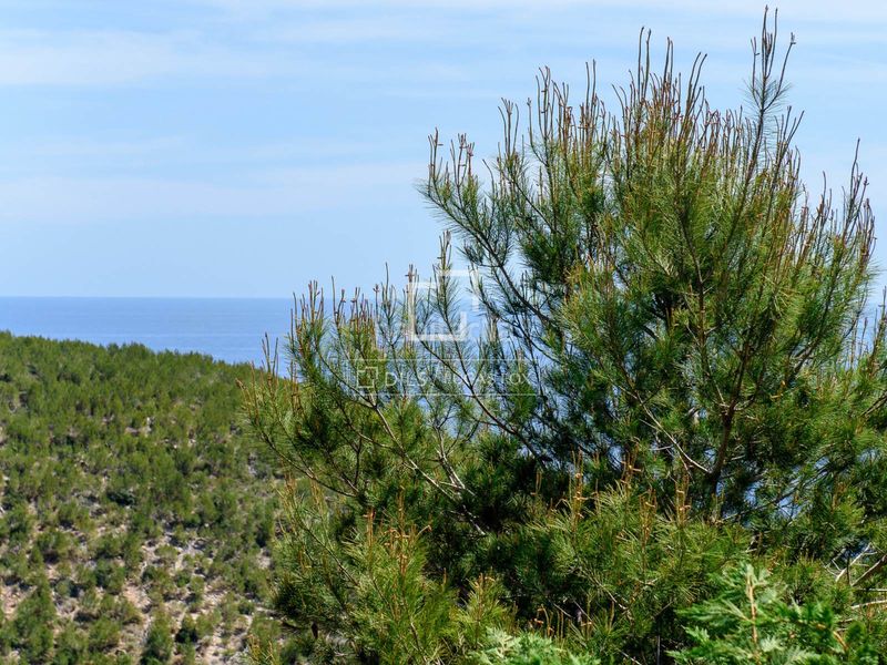 Foto 807720e6-a600-447b-b619-44b0f3507b70. Xalet amb piscina a Roca Llisa Santa Eulària