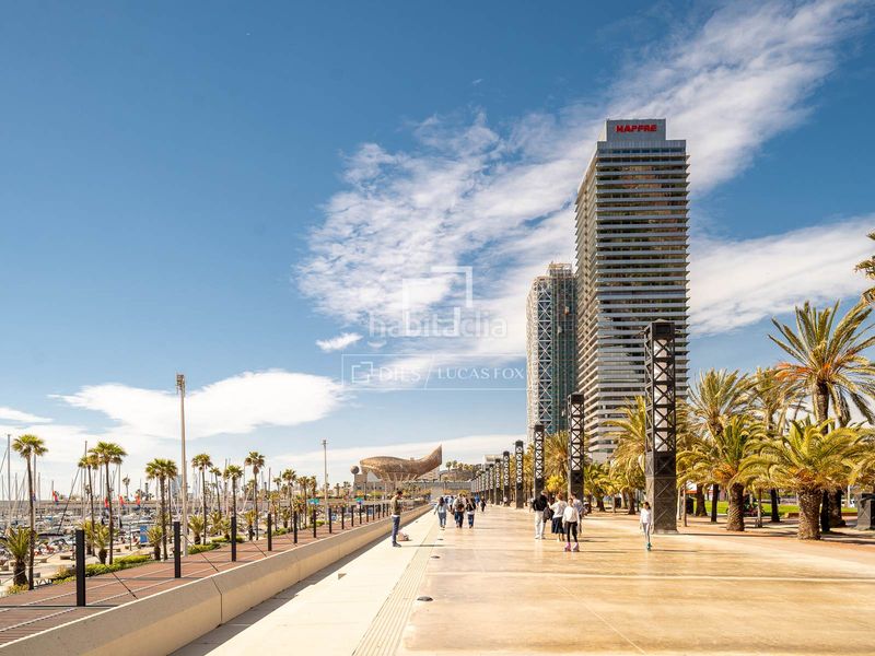 Foto a55b28b0-b5ad-443a-ba02-55e250479d0b. Àtic a La Vila Olímpica del Poblenou Barcelona