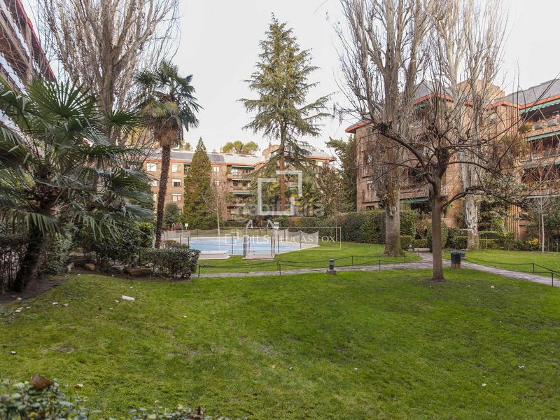 Foto 4020a34e-8527-4393-8a0d-e34c97b07e41. Lloguer àtic amb calefacció aparcament piscina a Madrid