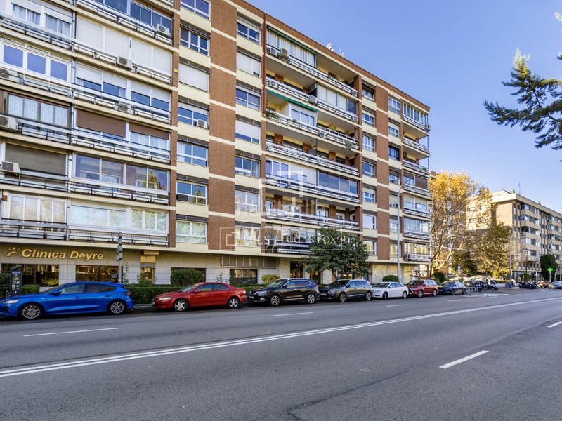 Foto 845180ae-23b8-4b89-a91b-bbded061fd9a. Pis a Casa de Campo Madrid