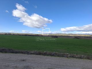 Finca rústica a Talamanca de Jarama