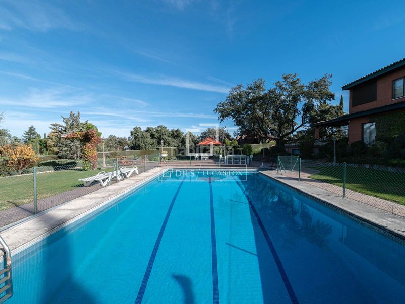 Foto bf56486b-42a3-4a79-bb16-cbec7833d593. Xalet amb calefacció aparcament piscina a Ciudalcampo