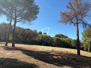 Finca rústica a Urbanización La Moraleja. Parcela en excelentes condiciones en venta en la moraleja urbani