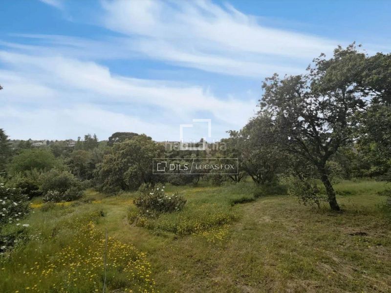 Foto a2e8c280-a027-4d9e-b480-1966fd30d1e5. Finca rústica a urbanización La Moraleja La Moraleja