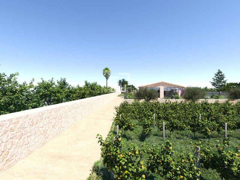 Foto 72d154e6-c2bd-4260-9d02-b2163b568c8d. Xalet amb calefacció aparcament piscina a Llucmajor interior Llucmajor