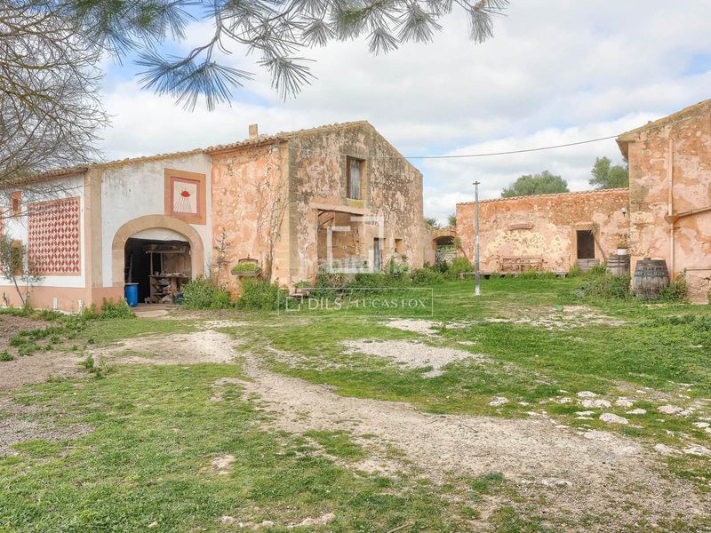 Foto 1a2f24e8-b94d-4d1d-89e5-c3ffbc05a2e8. Masia amb aparcament a Llucmajor interior Llucmajor