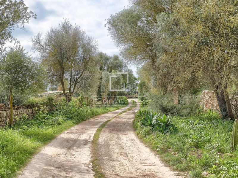 Foto ca35e28c-dee6-4513-9533-2e6ca6a03ca9. Masia amb aparcament a Llucmajor interior Llucmajor
