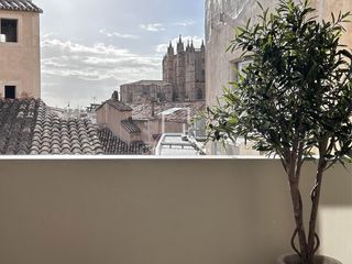 Pis a Cort. Piso en excelentes condiciones de 2 dormitorios en venta en palm