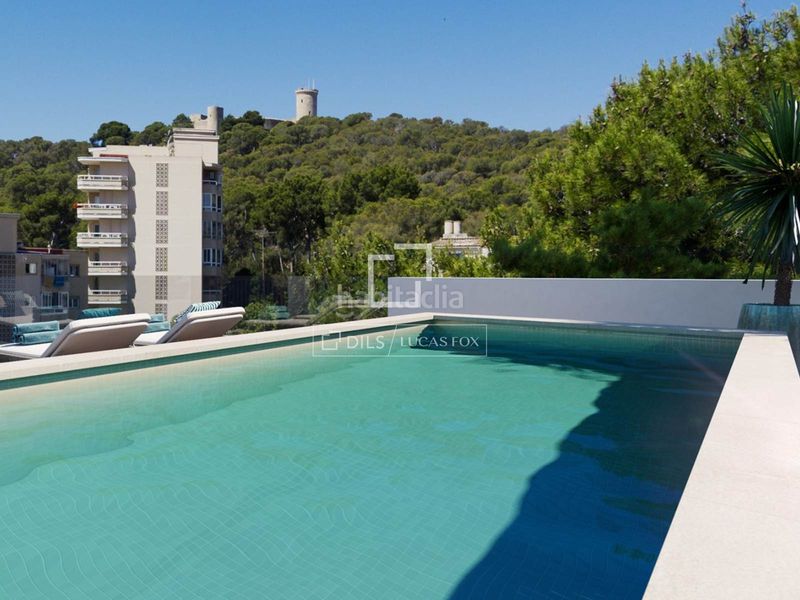 Foto 9d7d2026-0fc4-4ff2-b6b3-af97ea26d688. Pis amb aparcament piscina a Son Armadams Palma de Mallorca