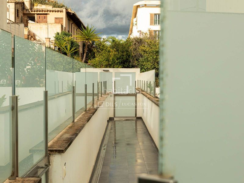 Foto e484ac2c-bdc7-49d1-ba24-a8b529b1b241. Xalet amb calefacció aparcament piscina a Los Almendros-Son Rapinya Palma de Mallorca
