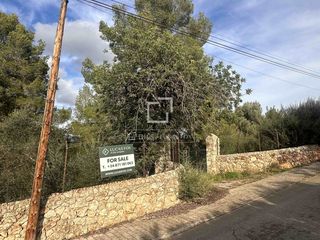 Landgut in Bunyola. Parcela en venta en bunyola, islas baleares